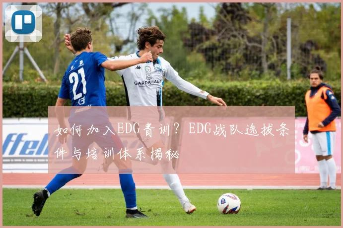 如何加入EDG青训？EDG战队选拔条件与培训体系揭秘